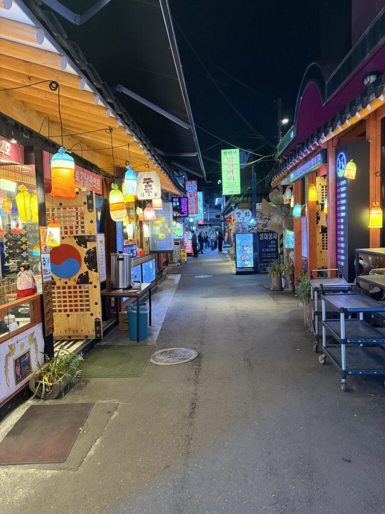 Beyond Gwangjang Market: Hidden Streets and Local Food in Seoul jongno night alley