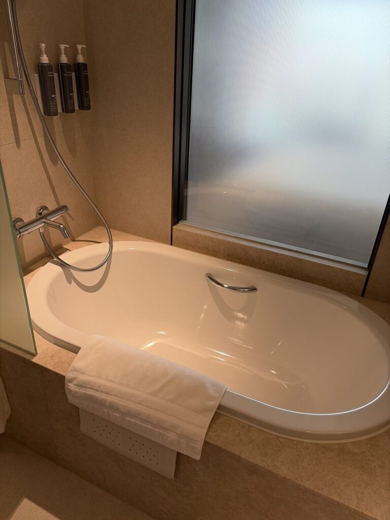 Modern bathroom with bathtub